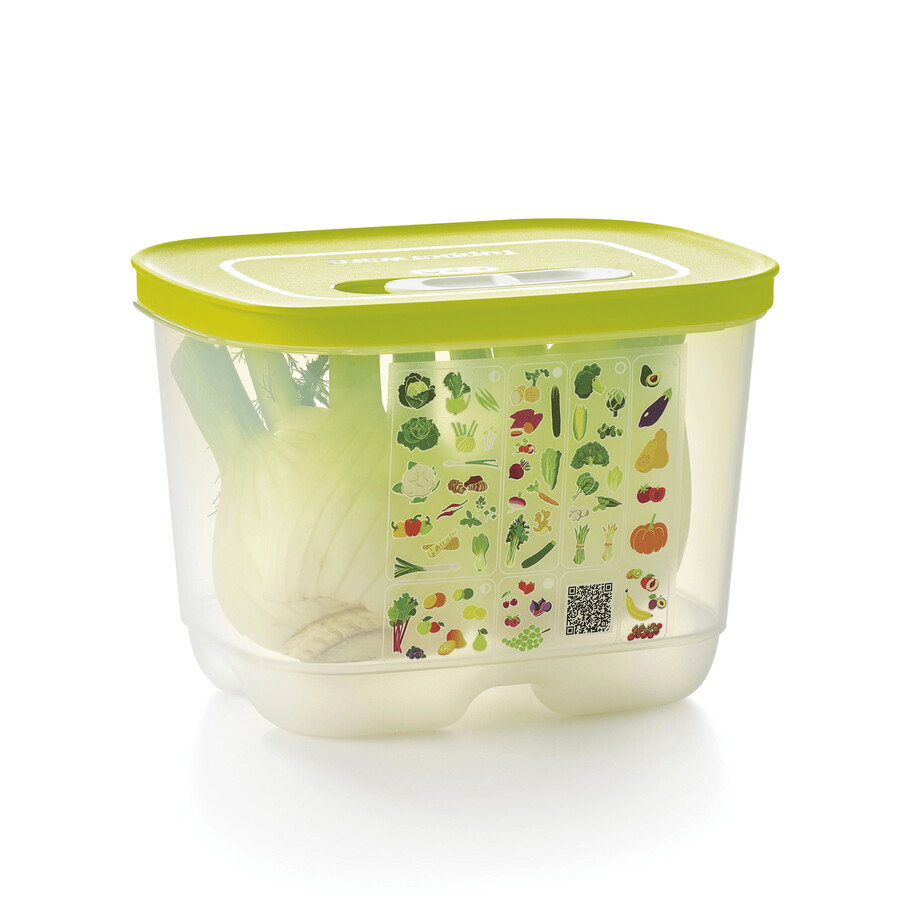 fridgesmart small deep