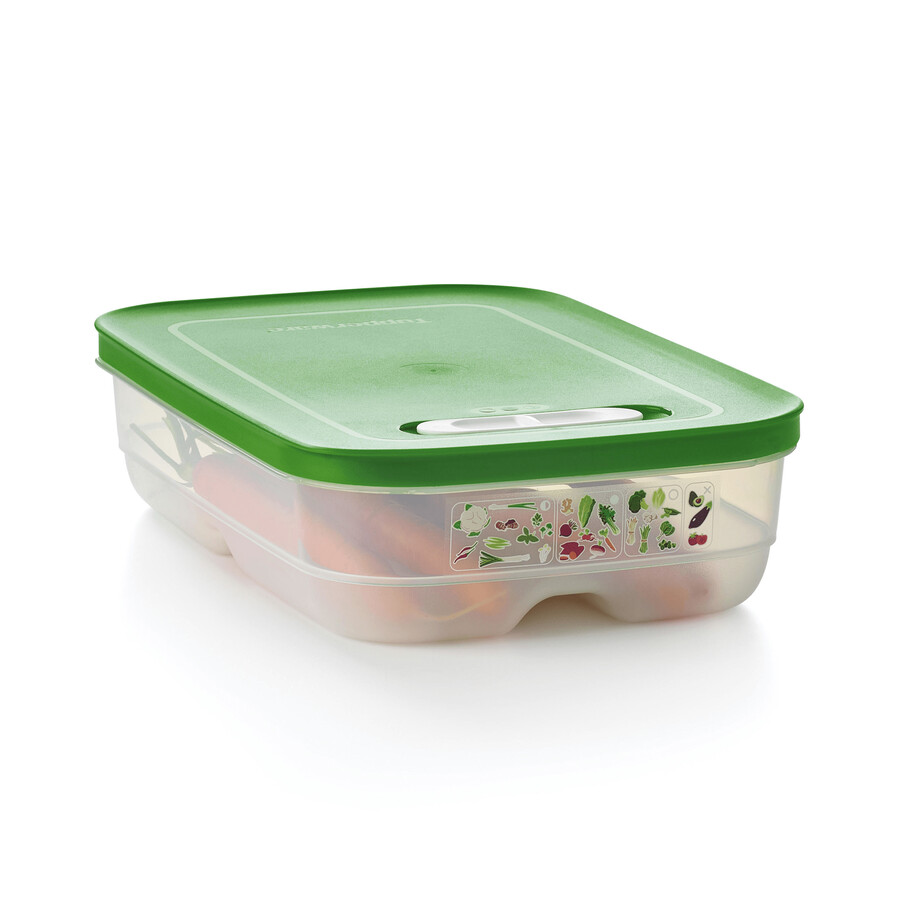 fridgesmart mittelgroßer behälter wintergrün