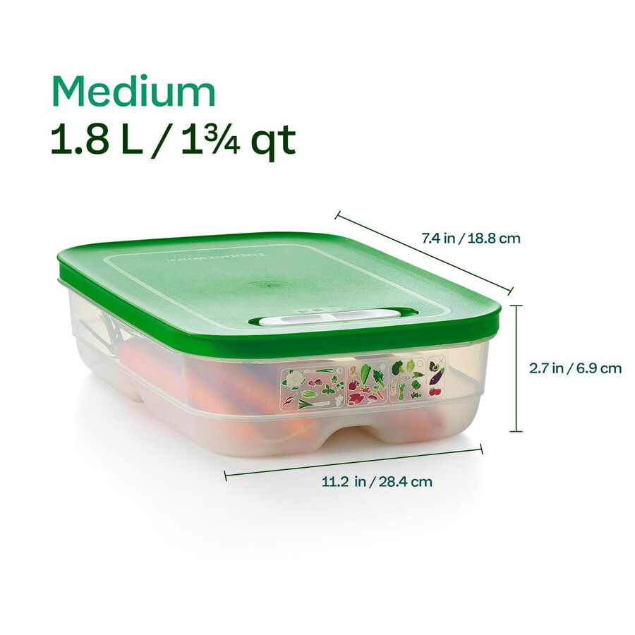 fridgesmart mittelgroßer behälter wintergrün