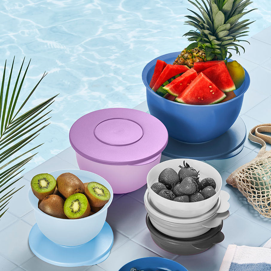 tupperware impressions classic schüsselset sorbet libelle isländischer nebel