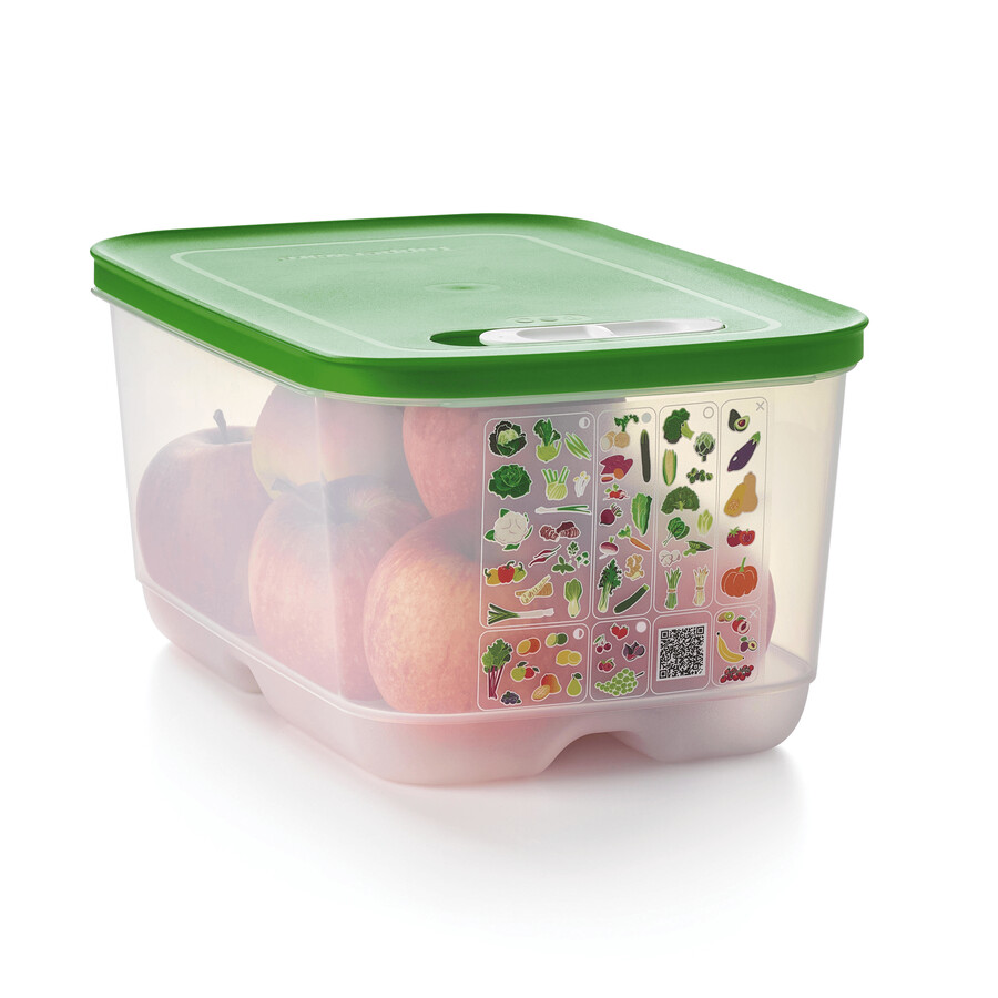 fridgesmart medium deep wintergrün