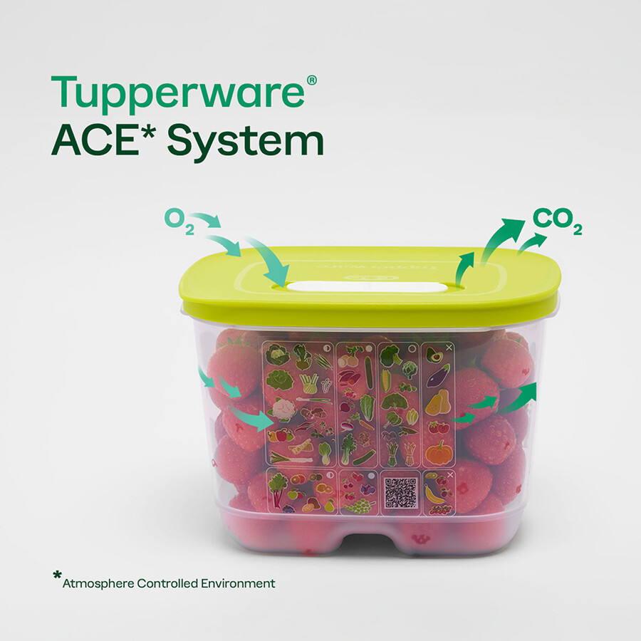 fridgesmart medium deep wintergrün