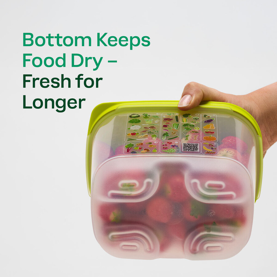 fridgesmart medium deep wintergrün
