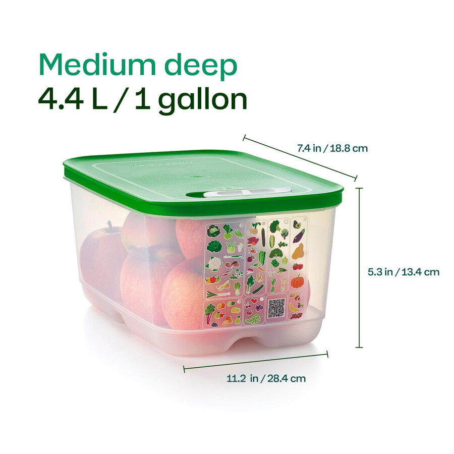 fridgesmart medium deep wintergrün