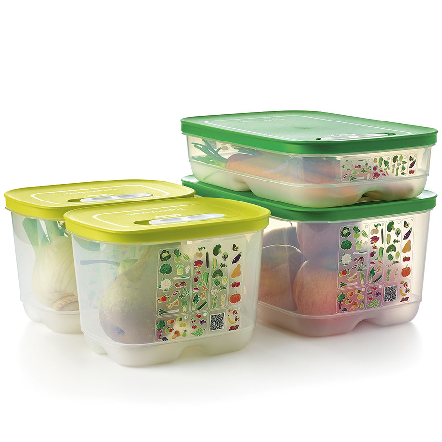 fridgesmart 4-teiliges starterset margarita klein tief wintergrün mittel mitteltief