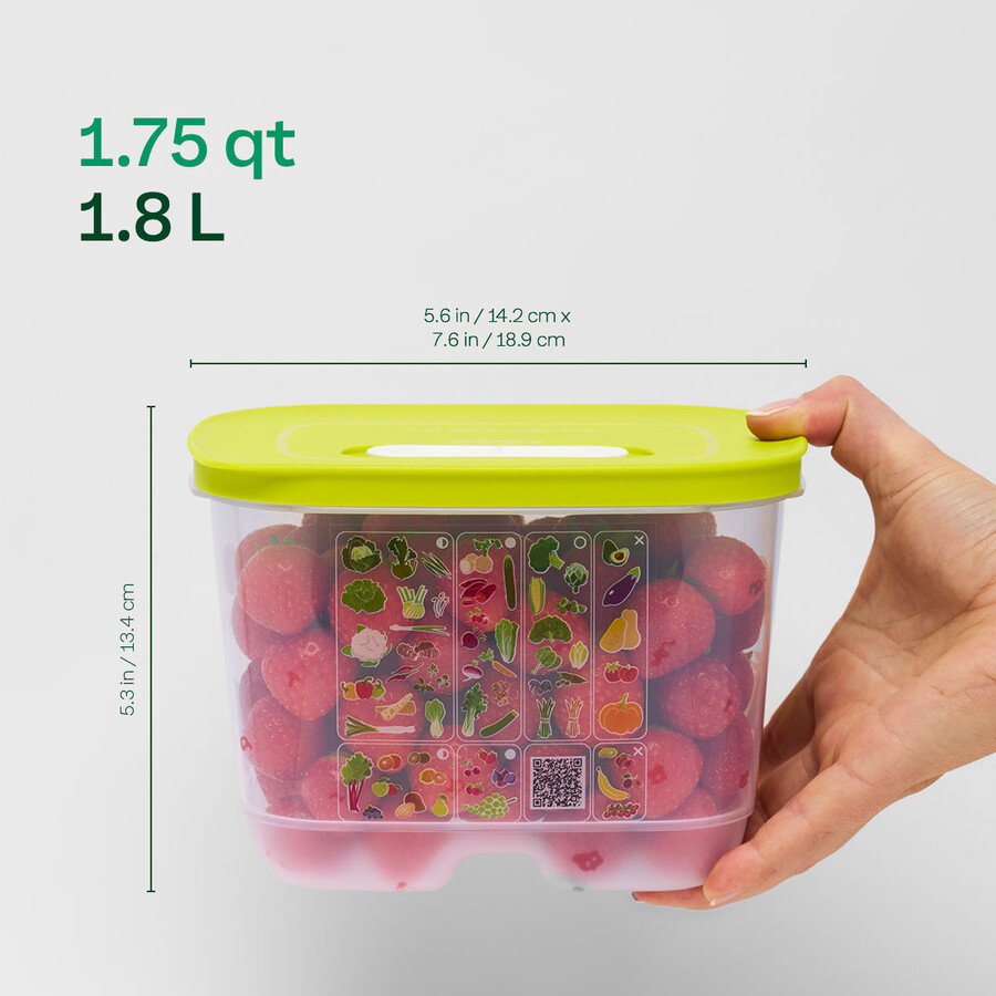 fridgesmart 4-teiliges starterset margarita klein tief wintergrün mittel mitteltief