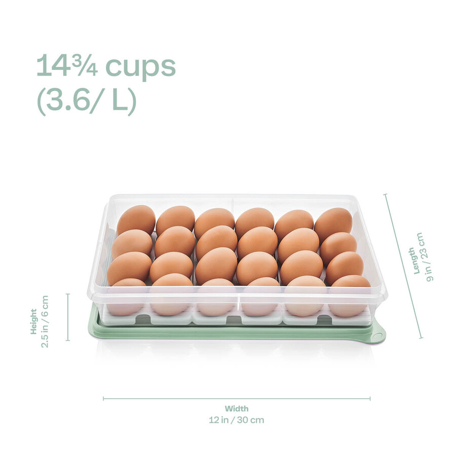 tupperware snack-stor große aufbewahrungsbox mit 3 eierablagen wilde maulbeere