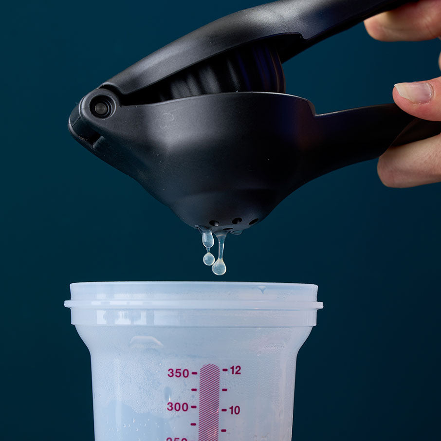 zest n press gadget