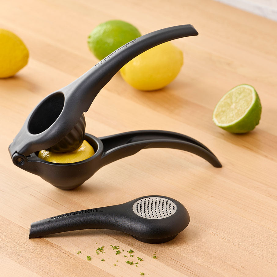 zest n press gadget