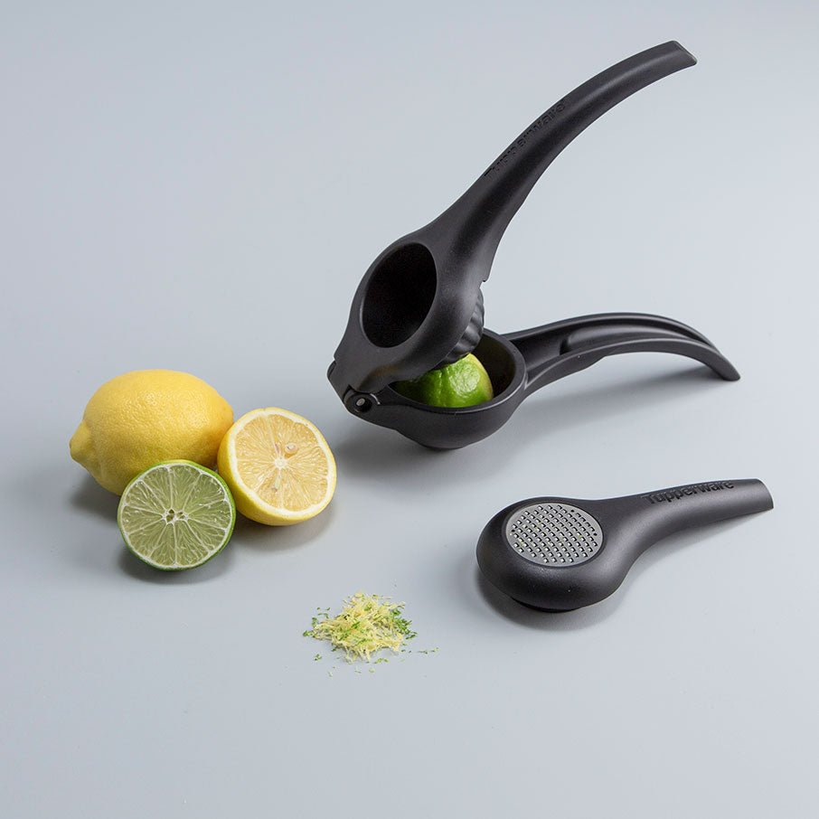zest n press gadget