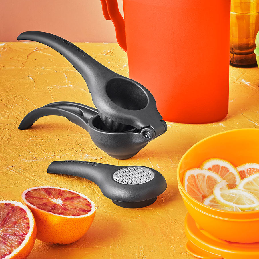 zest n press gadget