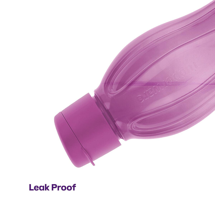 eco flasche groß lila
