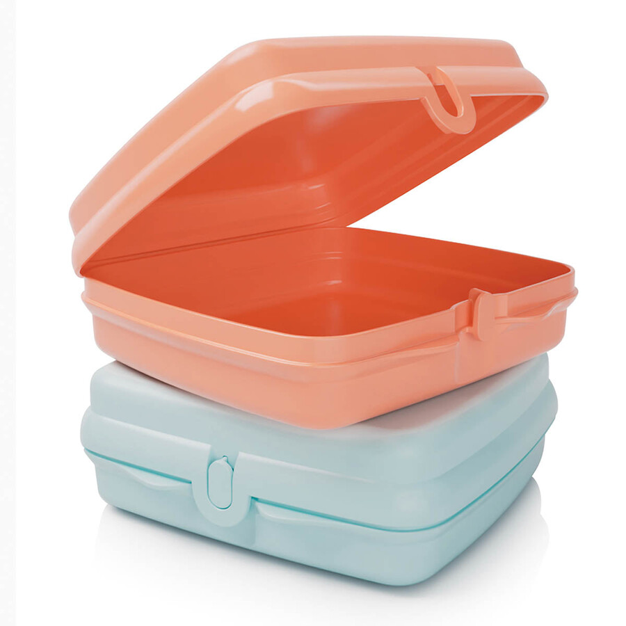 tupperware sandwich-behälter – 2 leicht zu öffnende lunchboxen für kinder