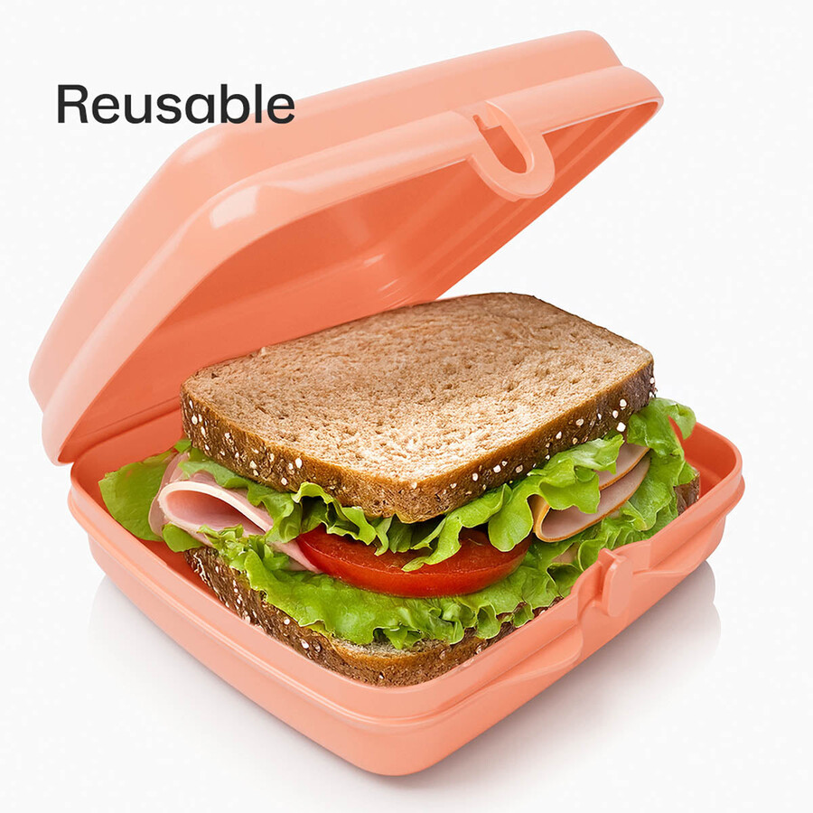 tupperware sandwich-behälter – 2 leicht zu öffnende lunchboxen für kinder